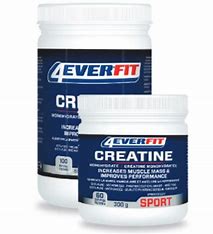 4EVERFIT Creatine monohydrate Hot on Sale