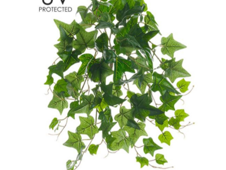 19  UV Protected Ivy Bush ( PBO031-GR ) Sale