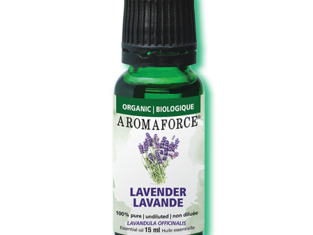 Organic Lavender Essential Oil 15ml Supply