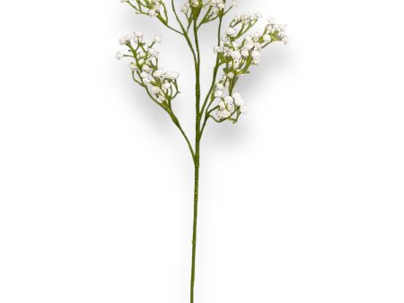 26   Baby’s Breath ( 663446-White ) on Sale