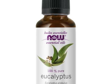 NOW® Eucalyptus Essential Oil For Sale