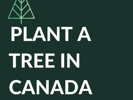 Plant 1 Canadian Tree - Verified by Veritree Online