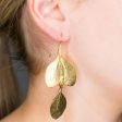 Satin Gold Long Leaf Pierced Earrings Sale