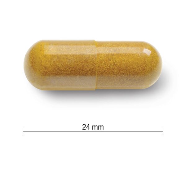 Jamieson High Potency Curcumin Turmeric Supply