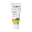 Weleda Oral Care - Children s tooth gel, spearmint flavor, 50ml Hot on Sale