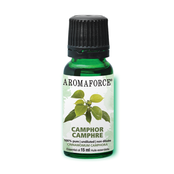 Camphor Essential Oil, 15ml on Sale