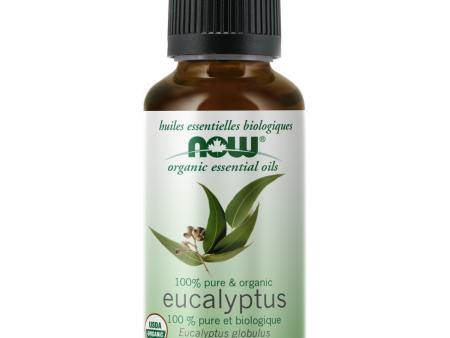 NOW® Organic Eucalyptus Essential Oil Online Hot Sale