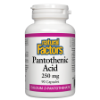 Pantothenic Acid  250 mg Capsules on Sale