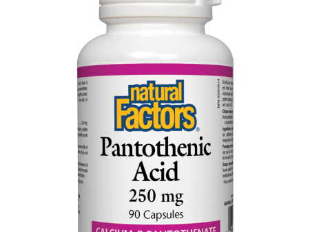 Pantothenic Acid  250 mg Capsules on Sale