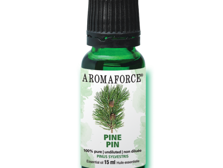 Pine Essential Oil, 15ml For Sale