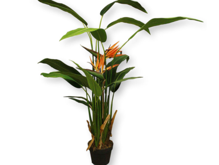 5’ Artificial Bird of Paradise Plant ( INT8498-16 ) Hot on Sale