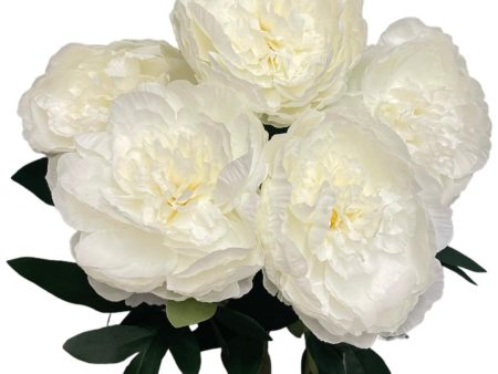 20  Silk Peony Bush ( INT0080-Cream ) Fashion