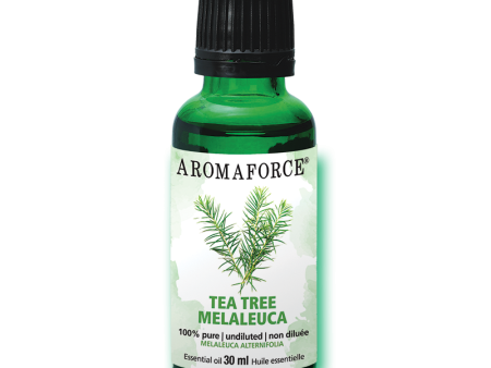 Tea Tree Essential Oil, 30mL on Sale