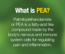 PEA400 Palmitoylethanolamide Vegetarian Capsules on Sale