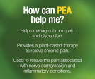 PEA400 Palmitoylethanolamide Vegetarian Capsules on Sale