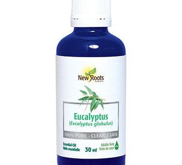 New Roots Eucalyptus Essential Oil Online Sale