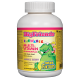 Multivitamin & Minerals, Jungle Berry Big Friends® Online now