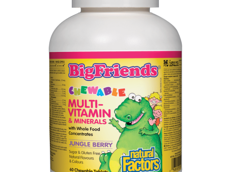 Multivitamin & Minerals, Jungle Berry Big Friends® Online now