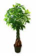 4.5’ Real Touch Fortune Tree ( INT4588 ) Hot on Sale