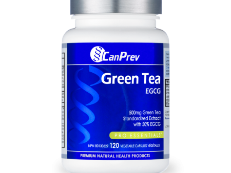 CanPrev Green Tea EGCG 500 mg Hot on Sale