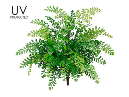 19  UV Protected Maidenhair Fern Bush ( PBF419-GR ) For Discount