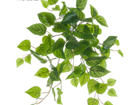 19  UV Protected Philodendron Bush ( PBE315-GR ) Cheap