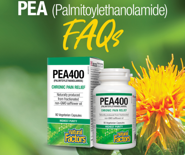 PEA400 Palmitoylethanolamide Vegetarian Capsules on Sale