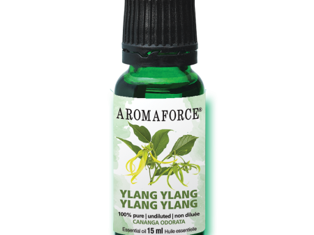 Ylang ylang Essential Oil, 15ml Online Hot Sale