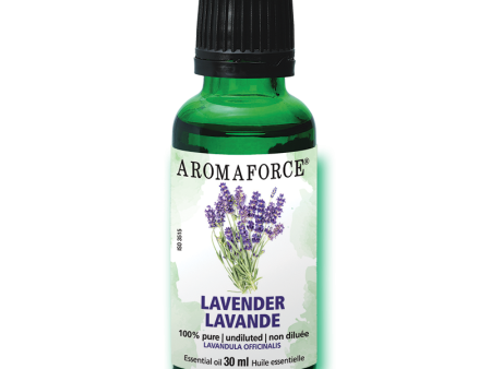 Lavender Essential Oil 30ml Supply