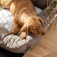 Dog Crate with Cosy & Calming Puppy Crate Bed in Inchmurrin Umber by Lords & Labradors Online Sale