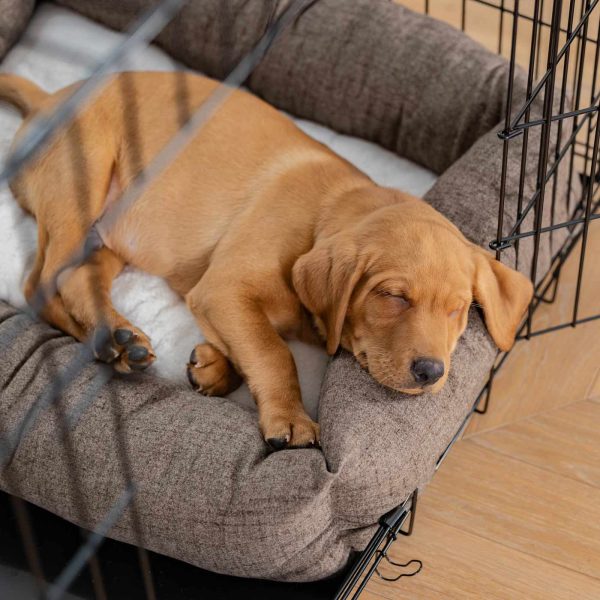 Cosy & Calming Puppy Crate Bed With Removable Covers In Inchmurrin Umber by Lords & Labradors Hot on Sale