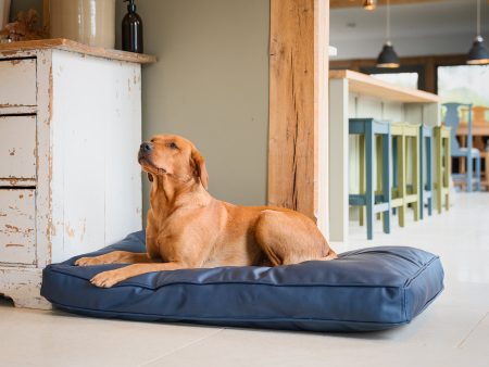 Dog Cushion With Removable Cover in Rhino Tough Pacific Faux Leather by Lords & Labradors Online Sale