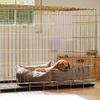 Dog Crate with Cosy & Calming Puppy Crate Bed in Inchmurrin Umber by Lords & Labradors Online Sale