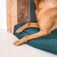 Dog Cushion With Removable Cover in Rhino Tough Forest Faux Leather by Lords & Labradors on Sale