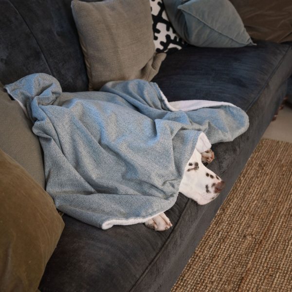 Dog & Puppy Blanket in Inchmurrin Iceberg by Lords & Labradors Hot on Sale