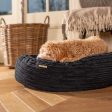 Donut Bed With Removable Covers in Navy Essentials Plush by Lords & Labradors Cheap