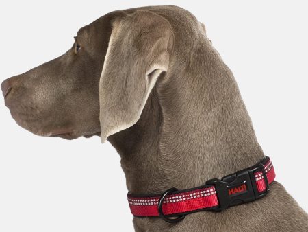 Halti Comfort Dog Collar - Red For Discount