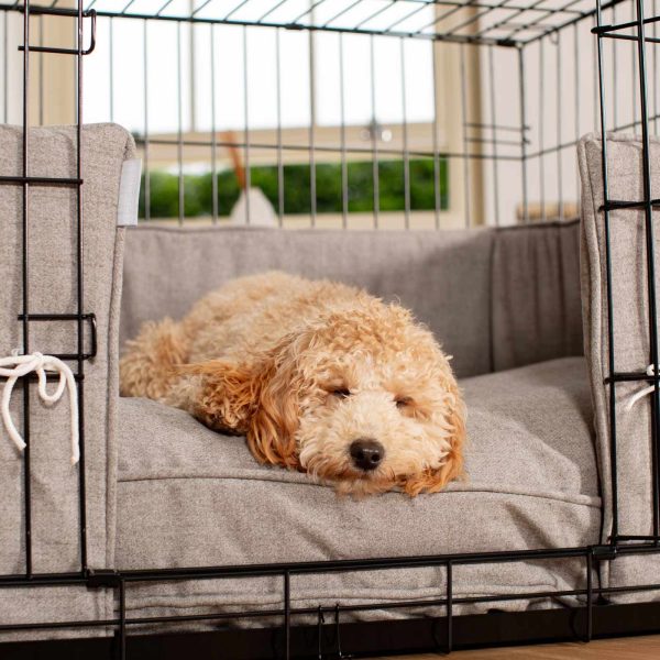 Dog Crate Bumper in Inchmurrin Ground by Lords & Labradors Cheap