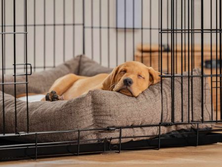 Dog Crate with Cosy & Calming Puppy Crate Bed in Inchmurrin Umber by Lords & Labradors Online Sale