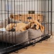 Dog Crate with Cosy & Calming Puppy Crate Bed in Inchmurrin Umber by Lords & Labradors Online Sale