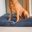 Dog Cushion With Removable Cover in Rhino Tough Pacific Faux Leather by Lords & Labradors Online Sale