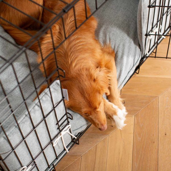 Dog Crate with Cushion & Bumper in Inchmurrin Iceberg by Lords & Labradors Supply