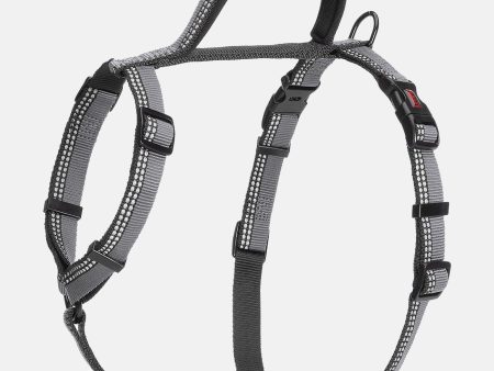 Halti Walking Harness - Black Cheap