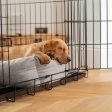 Cosy & Calming Puppy Crate Bed With Removable Covers In Inchmurrin Ground by Lords & Labradors For Sale