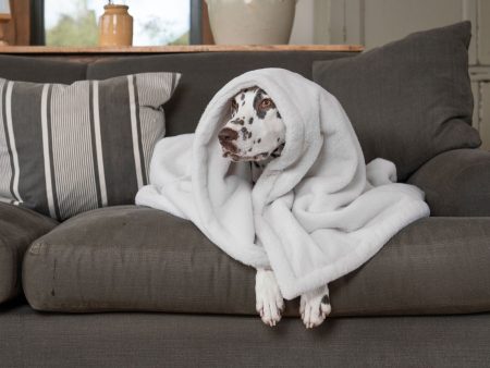 Dog & Puppy Blanket in Calming Anti-Anxiety Cream Faux Fur by Lords & Labradors Cheap