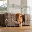 Dog Crate Bumper in Inchmurrin Umber by Lords & Labradors on Sale