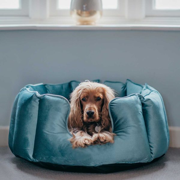 High Wall Bed For Dogs in Duck Egg Velvet by Lords & Labradors For Sale