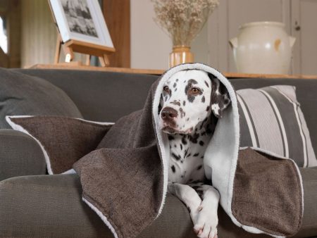 Dog & Puppy Blanket in Inchmurrin Umber by Lords & Labradors Online Hot Sale