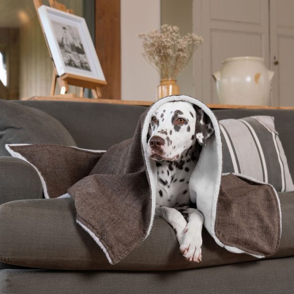 Dog & Puppy Blanket in Inchmurrin Umber by Lords & Labradors Online Hot Sale