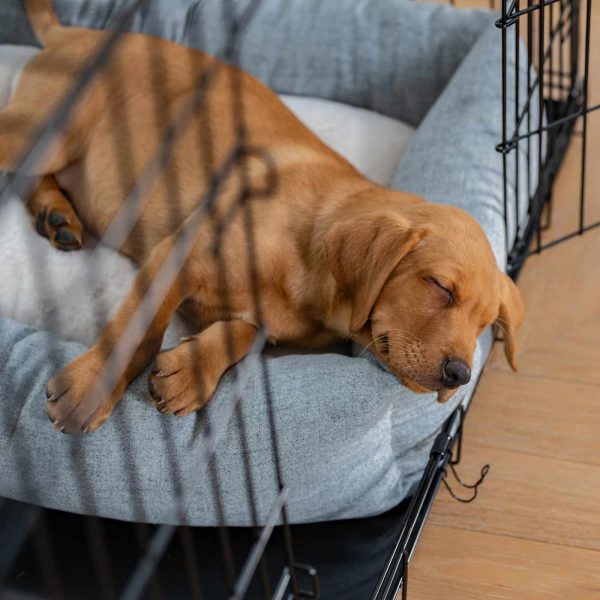 Cosy & Calming Puppy Crate Bed With Removable Covers In Inchmurrin Iceberg by Lords & Labradors Hot on Sale